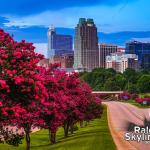 Crepe Myrtles bloom at sunset with downtown Raleigh skyline 2021