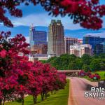 Crepe Myrtles blooms surround downtown Raleigh skyline 2021