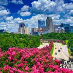 A morning perspective above the crepe myrtle trees at ground level revealing the peak blooms and unobstructed downtown Raleigh skyline