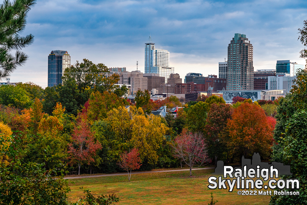Fall colors with the Raleigh Skyline