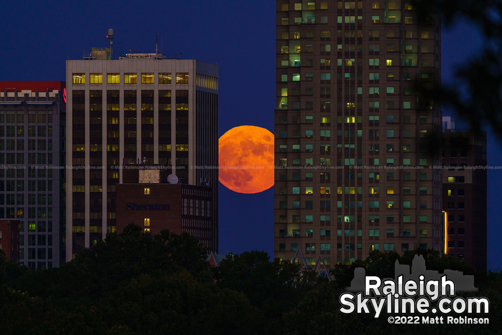 The moon rise caught between downtown buildings
