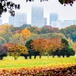 Fall scene from Dorothea Dix