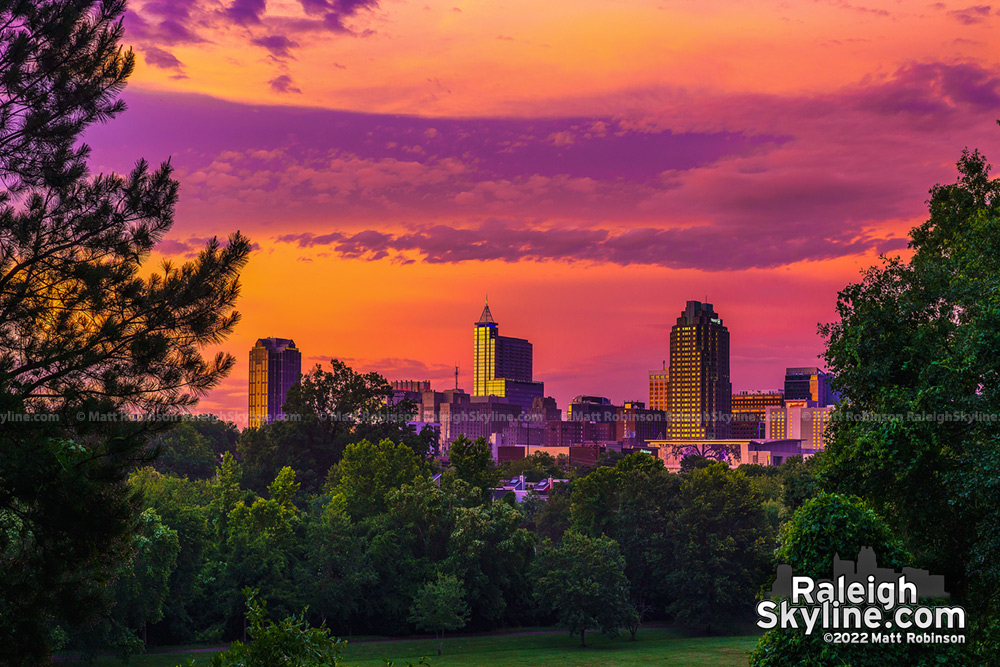 The Raleigh Skyline seen at sunset from Dorothea Dix Park