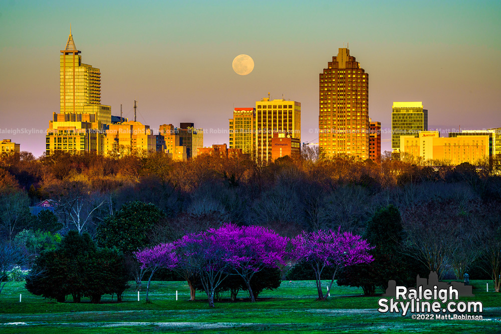 Spring full moon rising over downtown Raleigh from Dorothea Dix Park