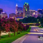 Crepe Myrtles blooming in downtown Raleigh at night