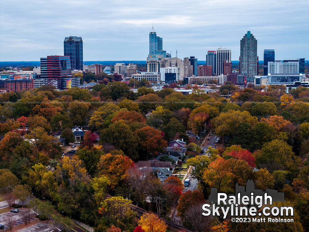 Boylan Heights in Autumn 