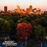 Bright fall tree at Dix Park 