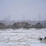 Downtown Raleigh barely visible from Dix Park